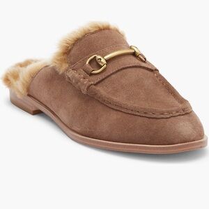 Steve Madden Brown Suede Loafers with Gold Detail 6